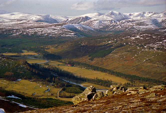 The Cairngorms